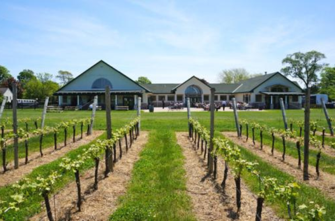 Duck-Walk-South-Hero